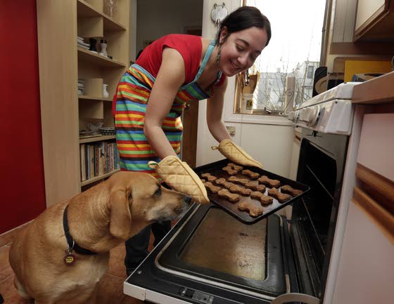 Feeding the most appreciative guest: the dog