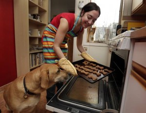 Feeding the most appreciative guest: the dog
