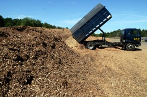 hamilton tree landfill