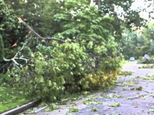 Linwood Storm Damage