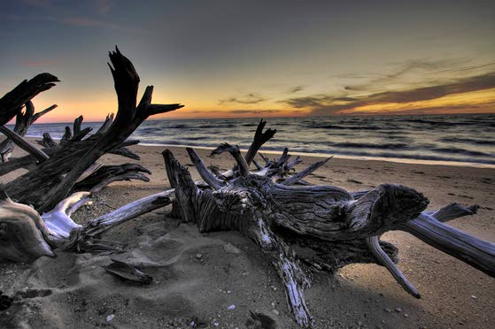 This Week in the Arts: Christine Peck displays photography at Co-op gallery