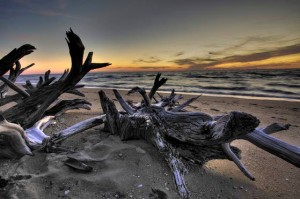 This Week in the Arts: Christine Peck displays photography at Co-op gallery