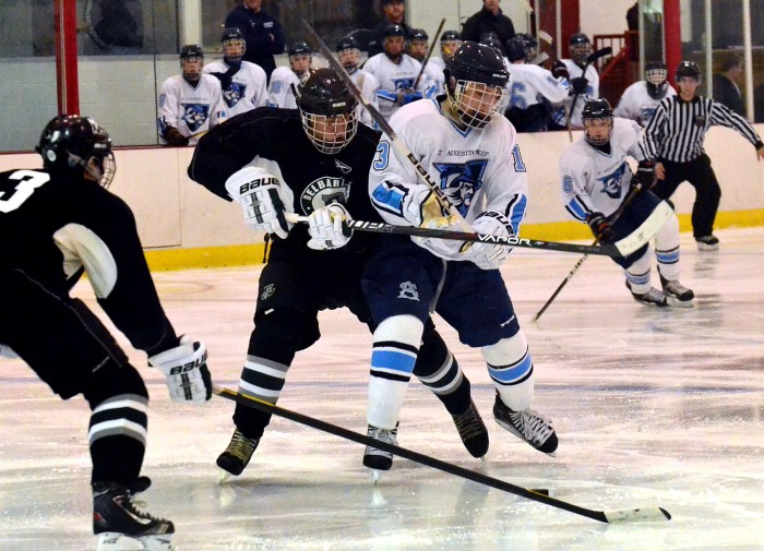 st augustine ice hockey