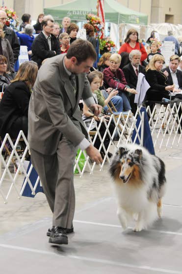 Don Henley in AC and dogs in Wildwood head our list of fun At The Shore Today