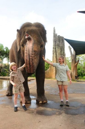 Little Croc Hunters top lineup on YouTube pet channel