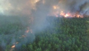 Barnegat forest fire