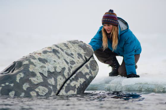 'Big Miracle' lives up to its real-life story