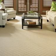 carpet 2