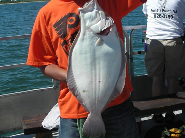Fluke