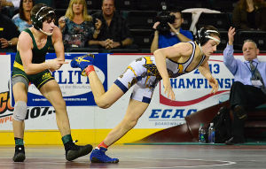 state wrestling tourn