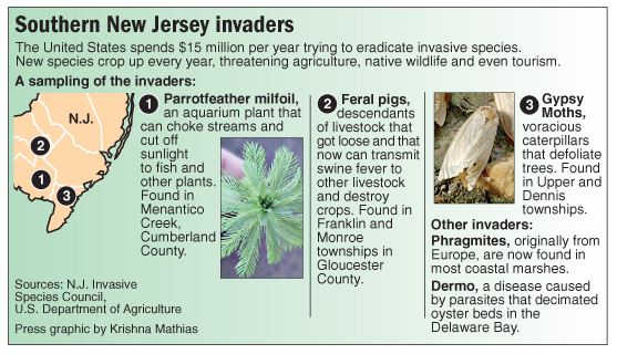 Southern New Jersey invaders