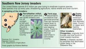 Southern New Jersey invaders
