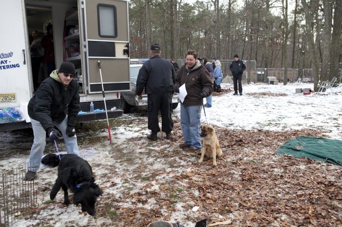 SPCA RAID