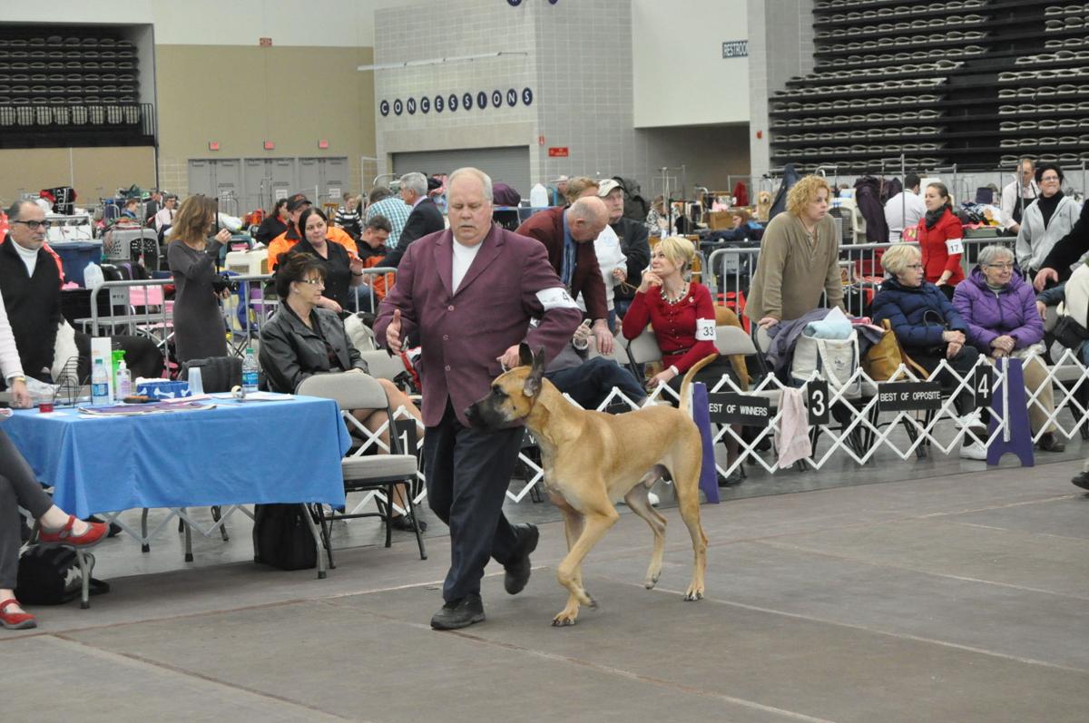 Wildwood Kennel Club Dog Show Wildwood Kennel Club Dog Show