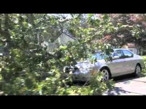 Northfield/Linwood Storm Damage