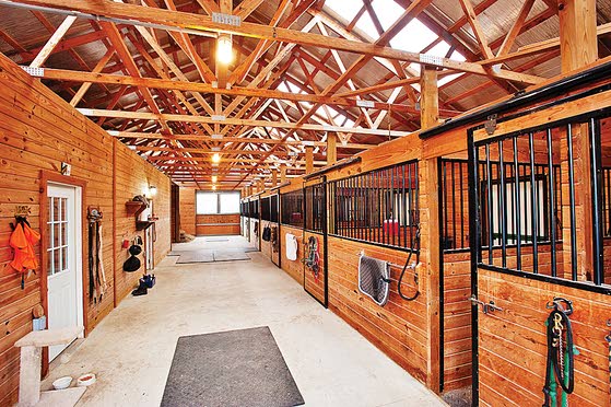 Horse Heaven