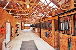 Horse Heaven