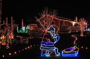Hurricane Sandy didn't stop EHT man from putting up Christmas light display