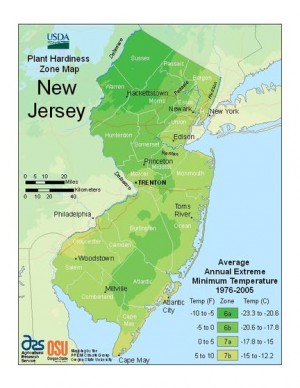 New planting zone map reflects global warming