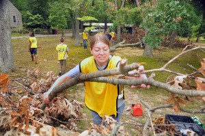 tree cutting