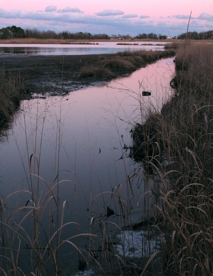 Edwin Edwin B. Forsythe National Wildlife Refuge | Daytrips ...