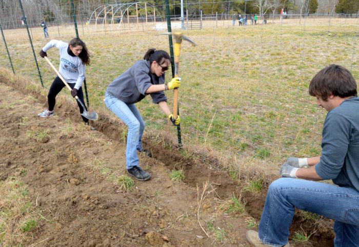 day of service