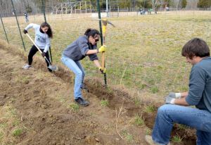 day of service