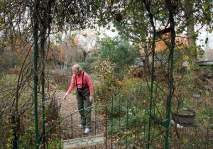 Keeping the backyard bountifulWith winter closing in, an unkempt garden isn't an eyesore, it's a natural buffet for wildlife