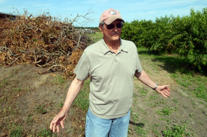 derecho farms