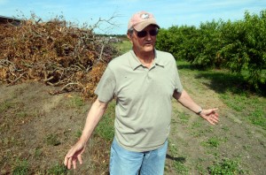 derecho farms