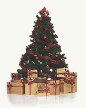 Time for the tree