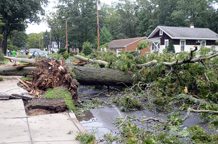  Hurricane Irene