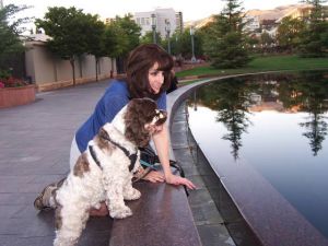 What makes a top dog?