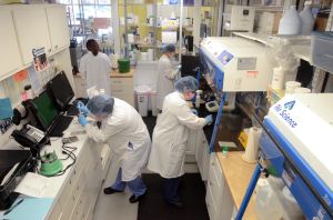Compound: Lab technicians working in the lab at Jersey Shore Pharmacy, in Egg Harbor Township. The Jersey Shore Pharmacy, in Egg Harbor Township, specializes in preparing compounds for patients.The state plans to beef up regulations over compounding pharmacies after contaminated medicine from a compounding pharmacy in Massachusetts killed dozens of people and sickened hundreds more. Thursday, January, 24, 2013( Press of Atlantic City/ Danny Drake)
 - Photo by Danny Drake