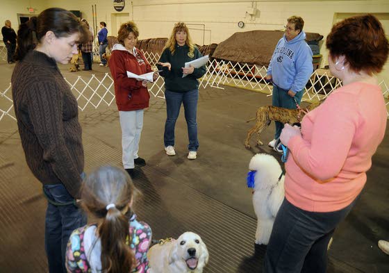 Pinelands K-9 Club gives dog owners needed help