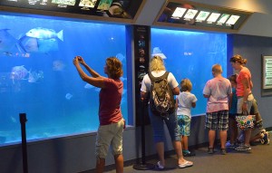 ac aquarium expansion