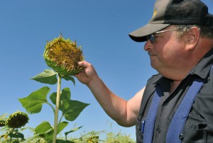 Farmer faces the ups and downs of business with humor