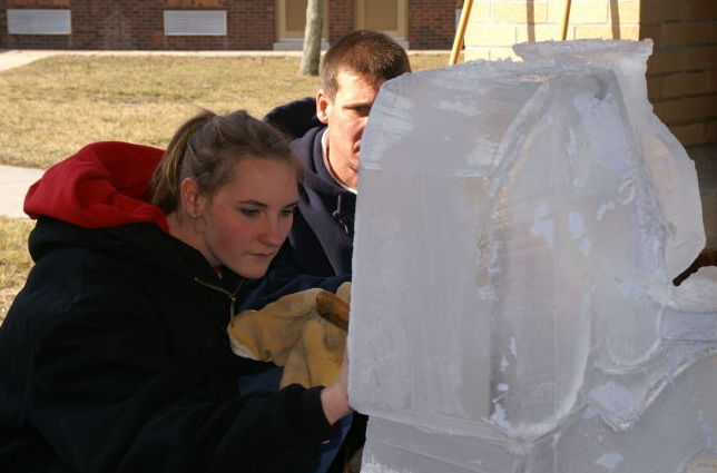 cape f20 Devyn carving elephant 114565118.jpg
