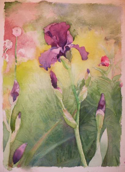 Water color artist shows off his work in Cape May