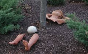 Proper use of mulch can turn garden into something special