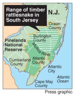 Pinelands rattlesnake map