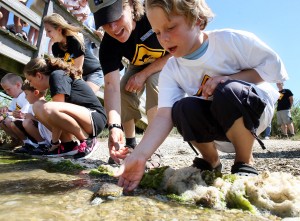 Turtle Release