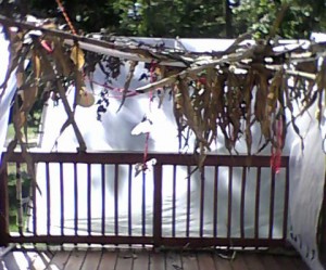 sukkah