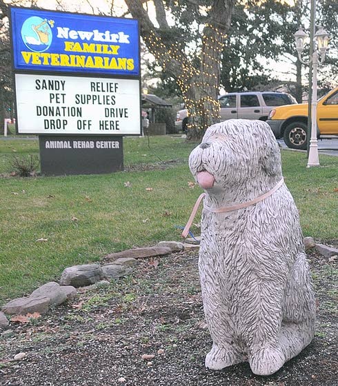 EHT veterinarian holds supply drive for pets after Sandy
