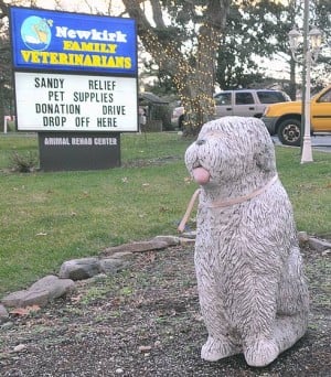 EHT veterinarian holds supply drive for pets after Sandy