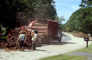 hamilton tree landfill