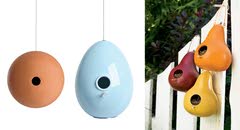 It's getting warmer. Time to prepare for feathered guests