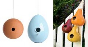 It's getting warmer. Time to prepare for feathered guests