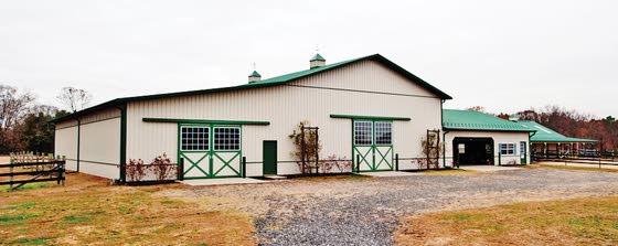 Horse Heaven