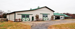 Horse Heaven